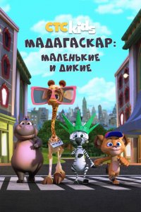 Мадагаскар: Маленькие и дикие 1,2,3,4 сезон 