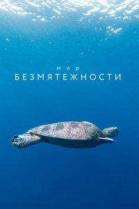 Мир безмятежности 1 сезон 