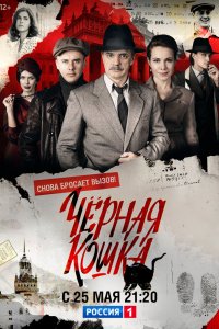 Чёрная кошка 1 сезон 